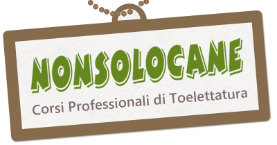 Nonsolocane